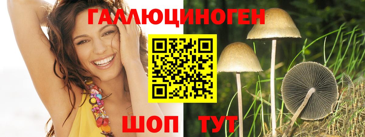 Галлюциногенные грибы мухоморы Юрга