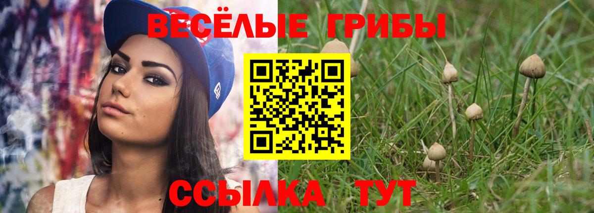 Юрга  Псилоцибиновые грибы Psilocybe  Вход с VPN 